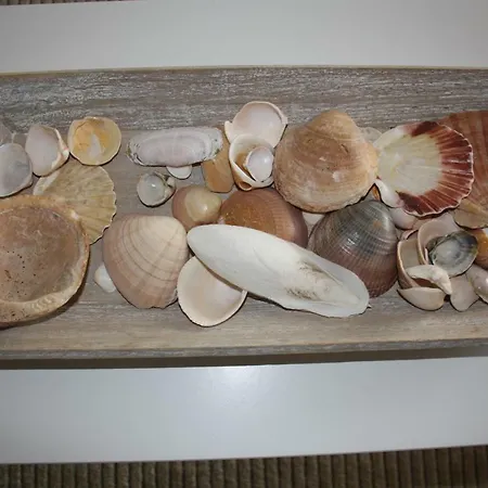 Seastar דירה וילהמורה